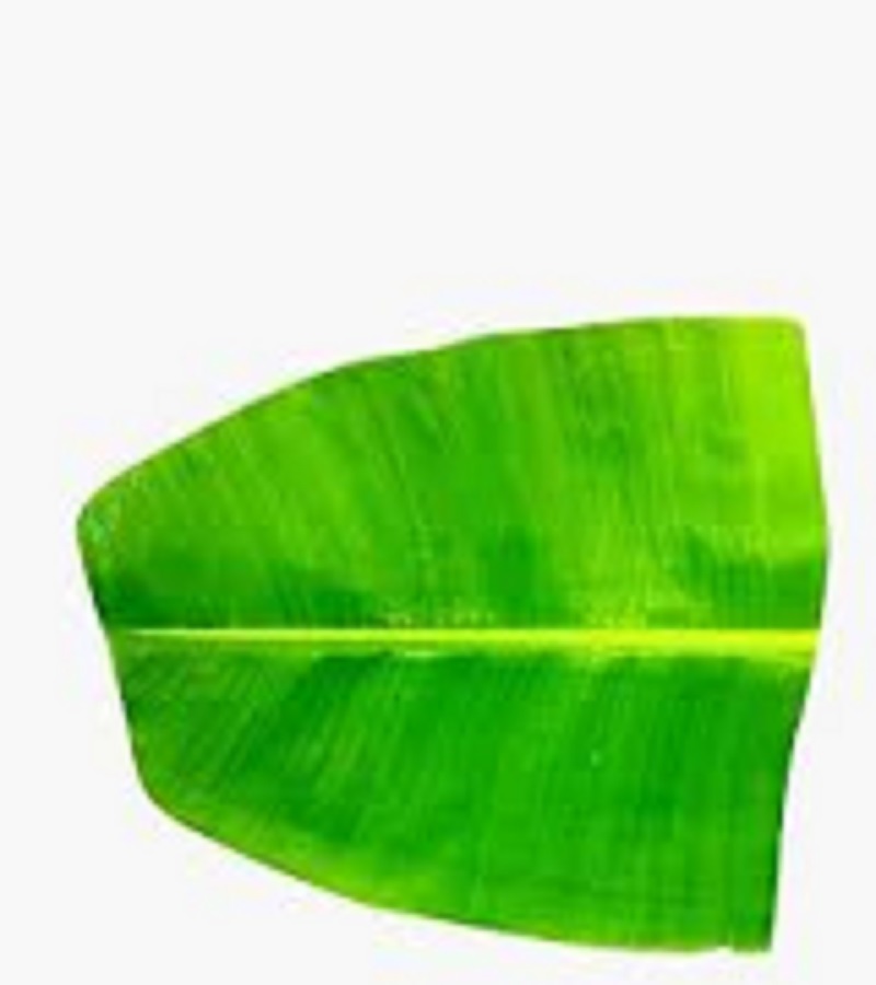 Banana Leaf / வாழை இலை